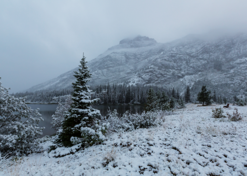#7. Montana (tie)