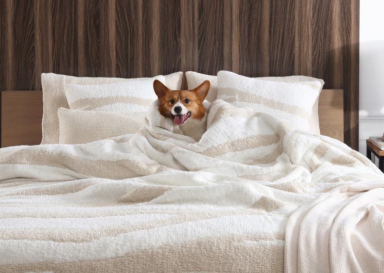 United States: Snuggle up next to a pet