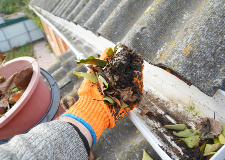 #22. Clean your gutters