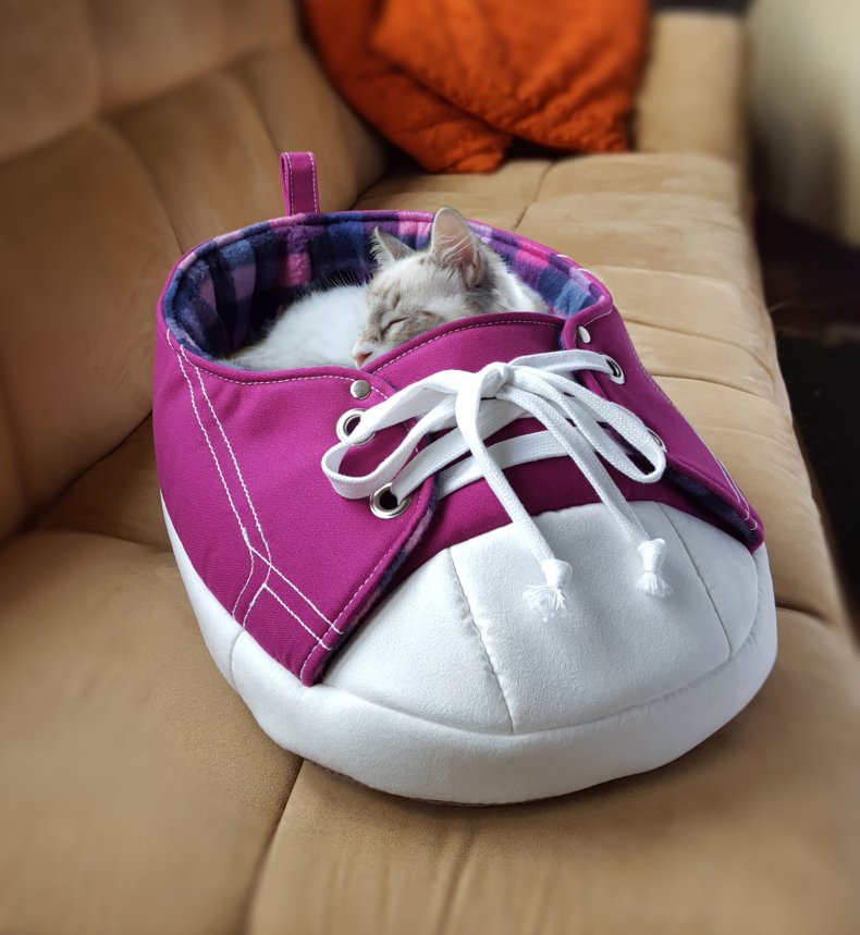 Cat bed