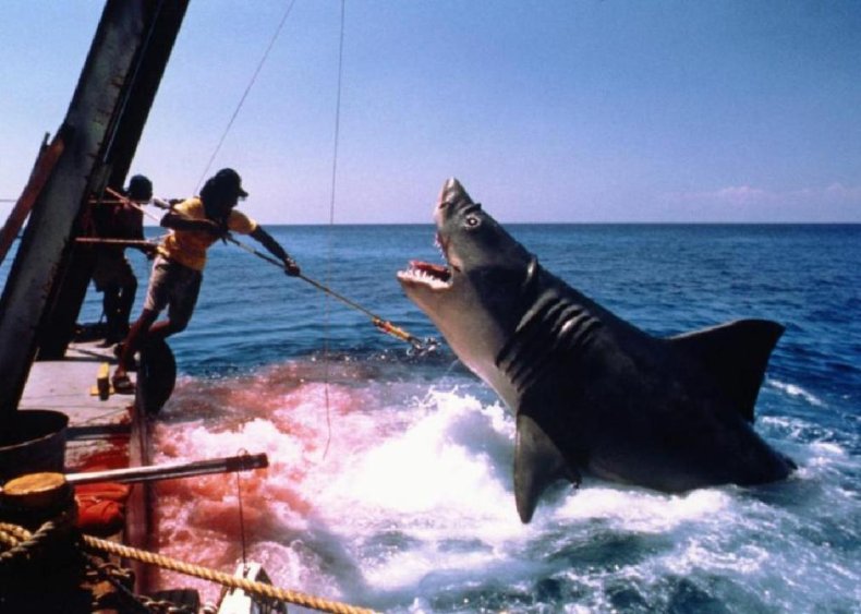 #32. Jaws: The Revenge (1987)