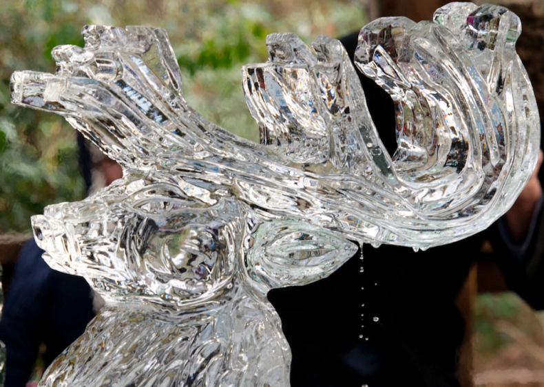 Reindeer ice sculpture at the Bronx Zoo