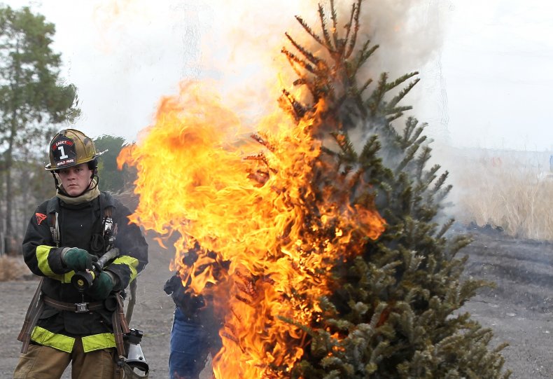 tree fire