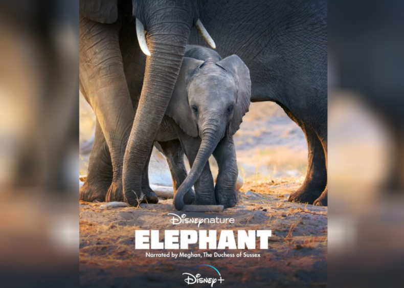 #46. Elephant