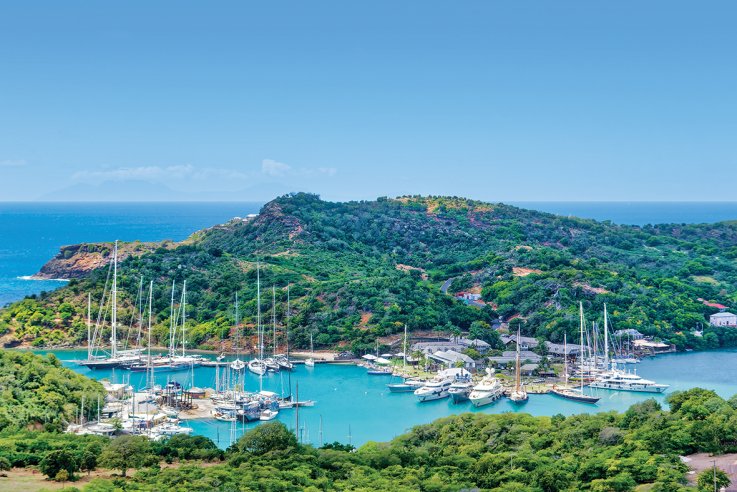 Antigua illy