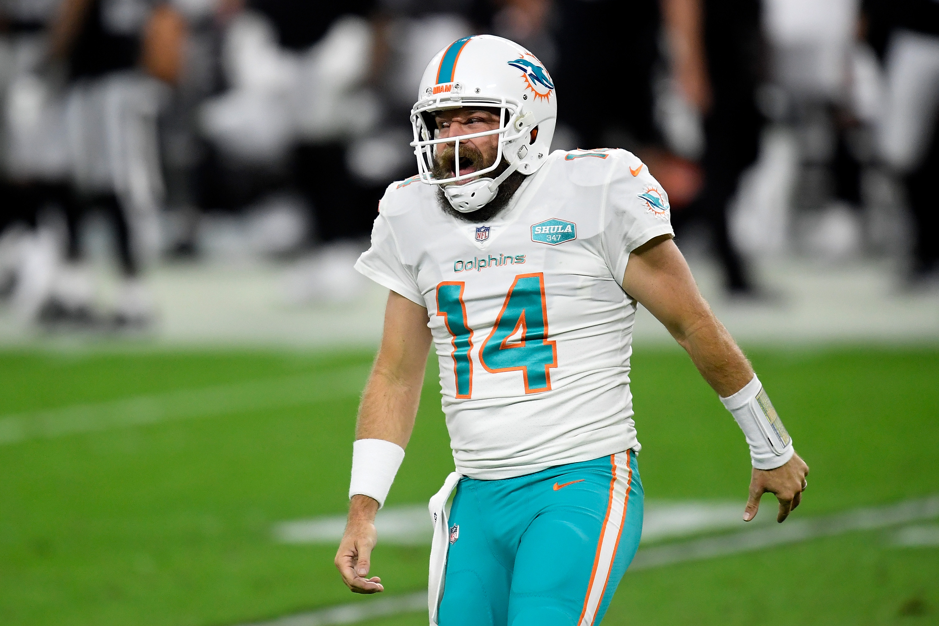 Miami Dolphins quarterback Ryan Fitzpatrick (14) looks to pass
