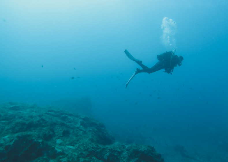 June 6: Protections end for East Coast’s Marine National Monument