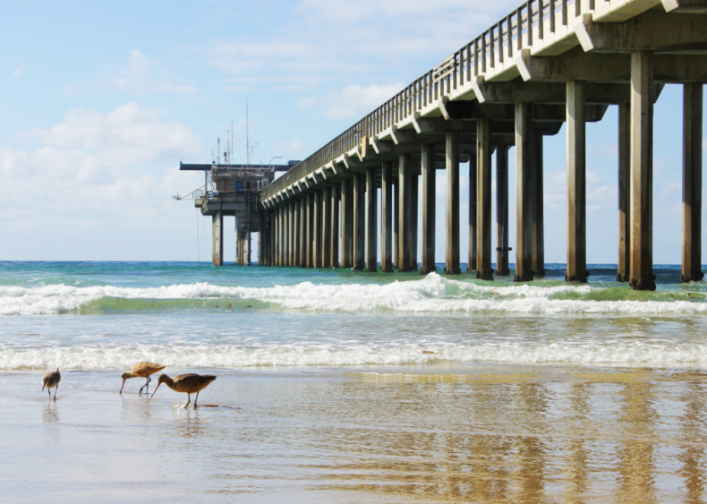 August 23: Ocean water sets record temps