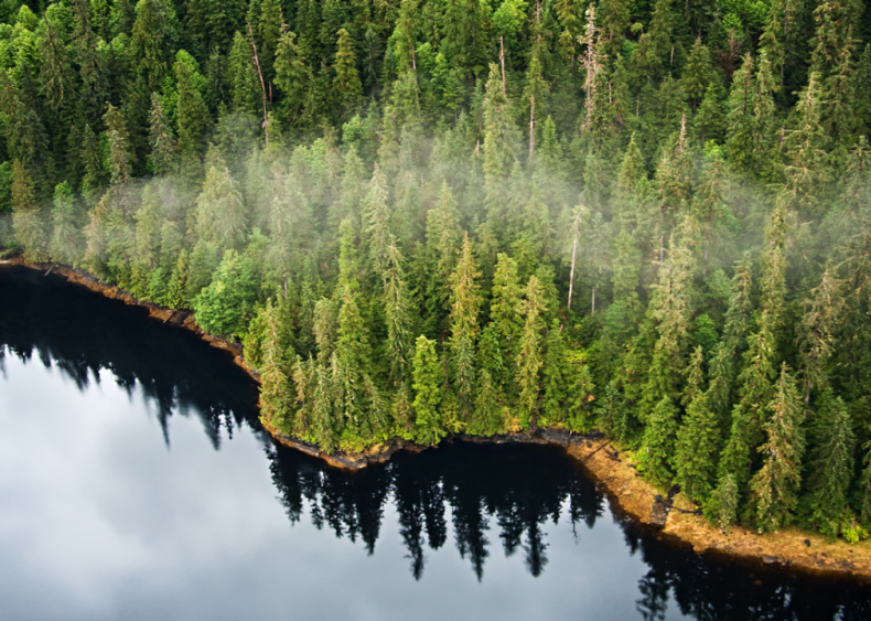 October 28: Trump ends Tongass National Forest protections