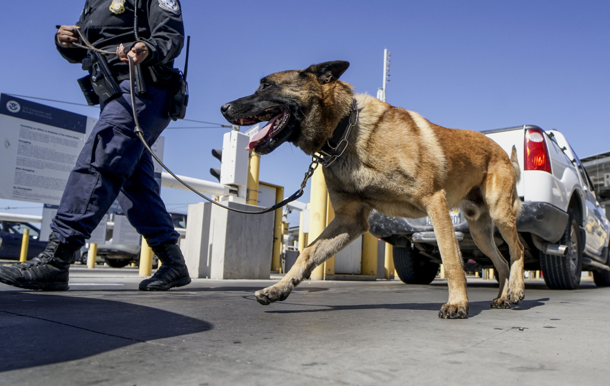 Video of Officer Punching Police Dog in the Face Sparks Investigation