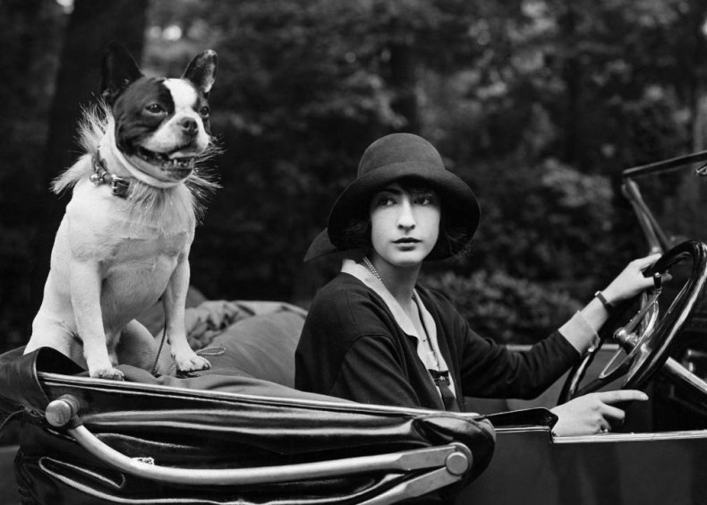 Vintage photos of America's most popular dog breeds