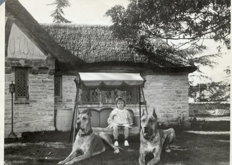 #17. Great Dane