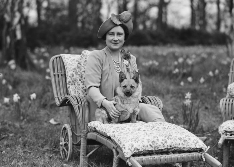 #10. Pembroke Welsh corgi