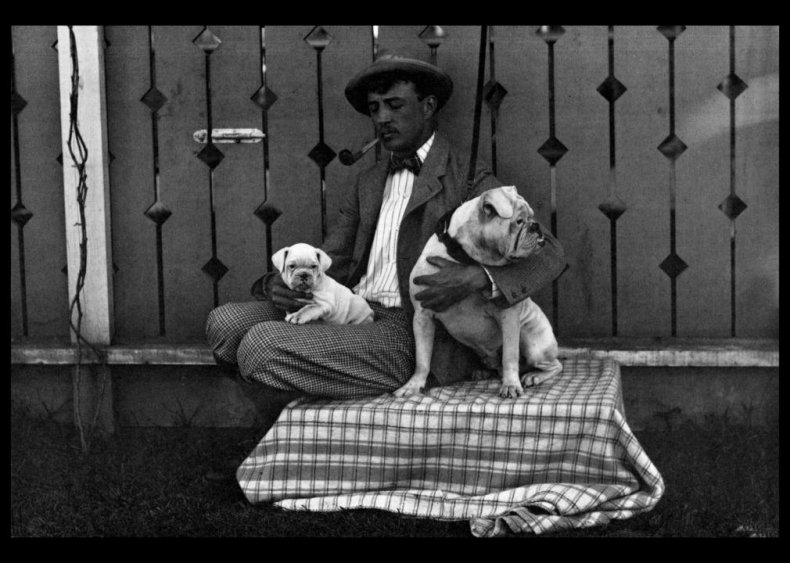 #5. Bulldog