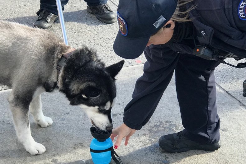 NYPD