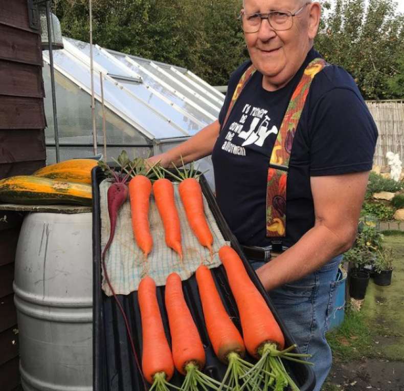 Vegetables, Giant Vegetables, Gardening