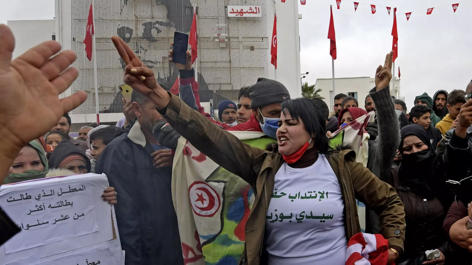 Arab Spring Revolution