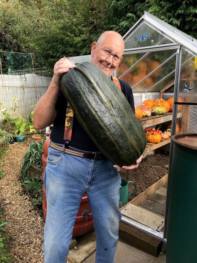Vegetables, Giant Vegetables, Gardening