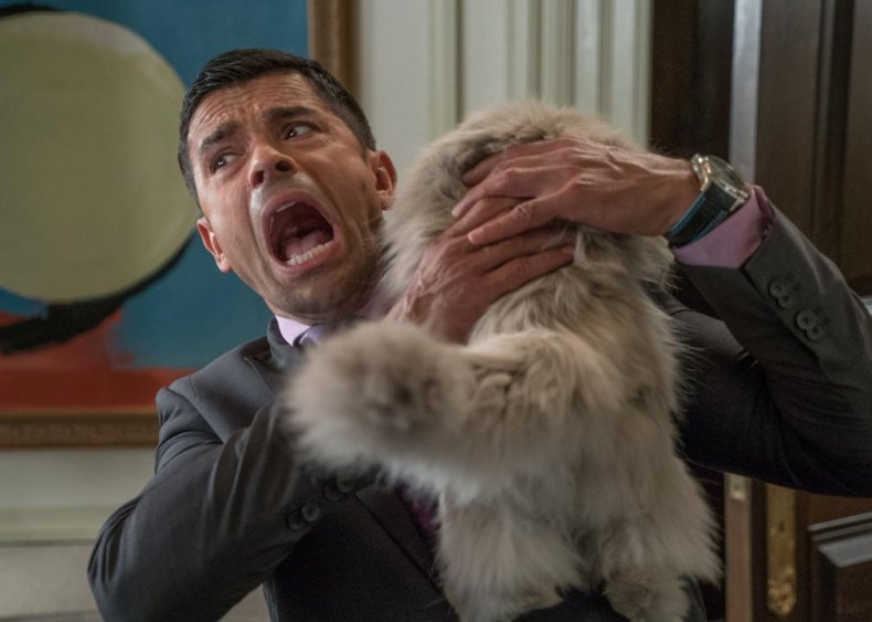 #29. Nine Lives (2016)