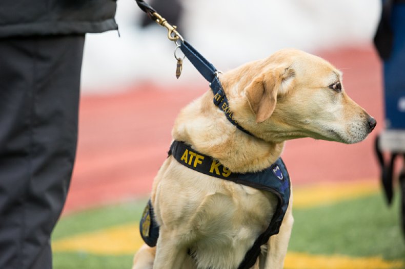 K9 Unit