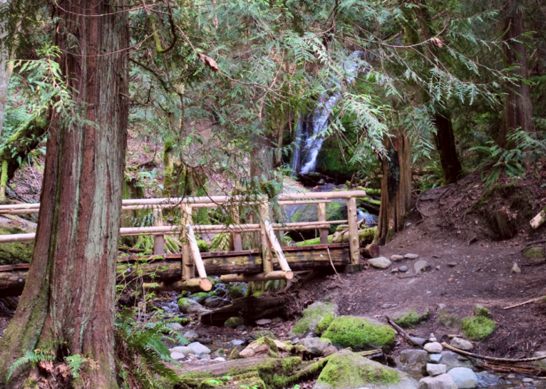 #100. Mirrormont, Washington