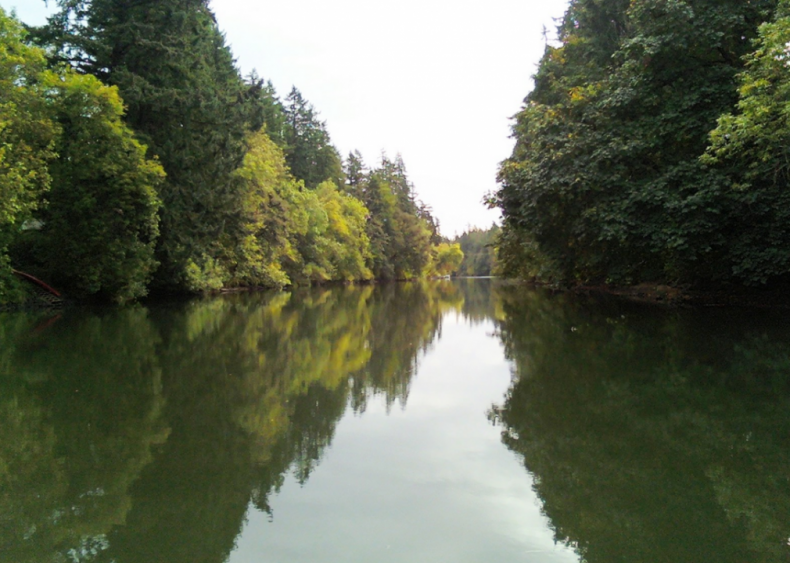 #98. Tualatin, Oregon