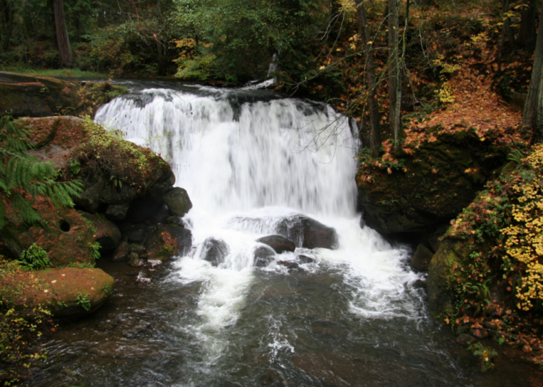 #93. Bellingham, Washington