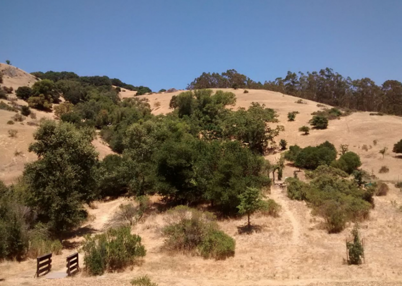 #47. San Anselmo, California