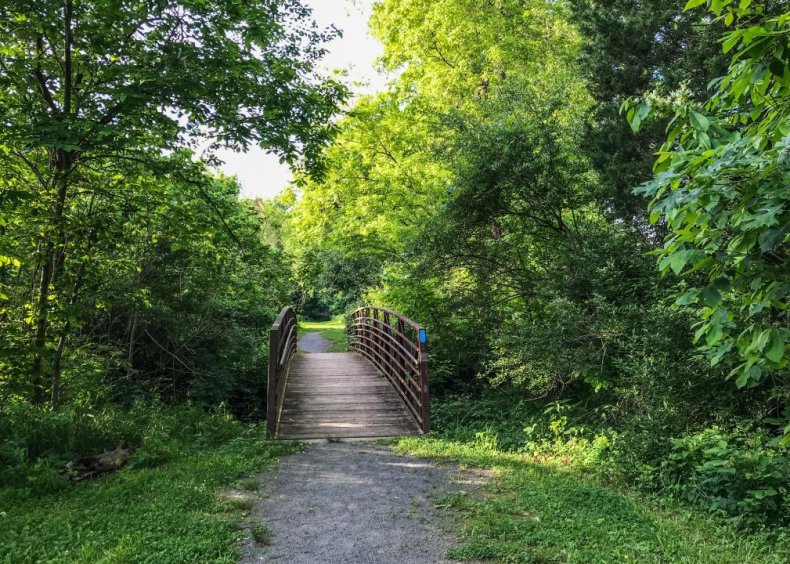 #54. Ashburn, Virginia