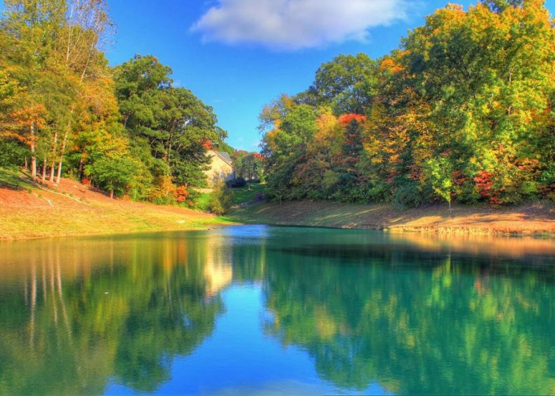 #61. Wildwood, Missouri