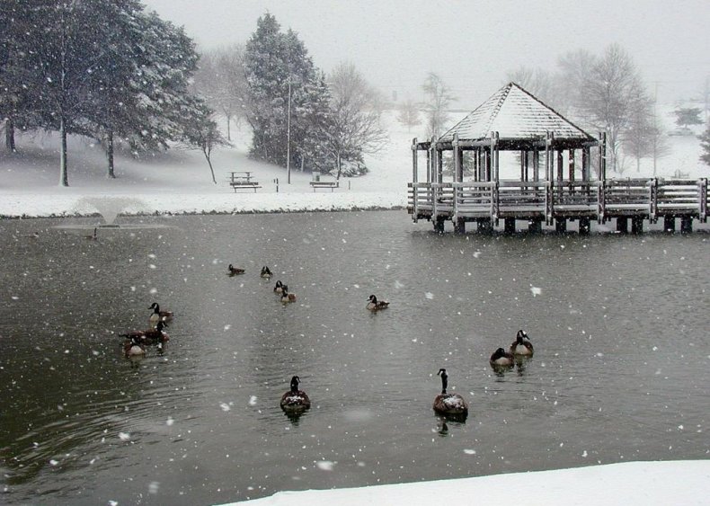 #40. Ballwin, Missouri