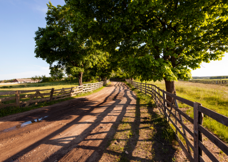 #33. Olivette, Missouri