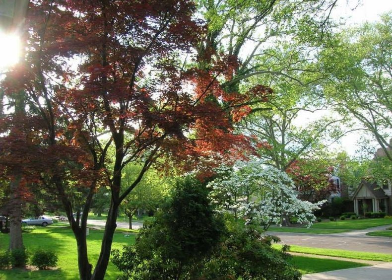 #20. Bexley, Ohio