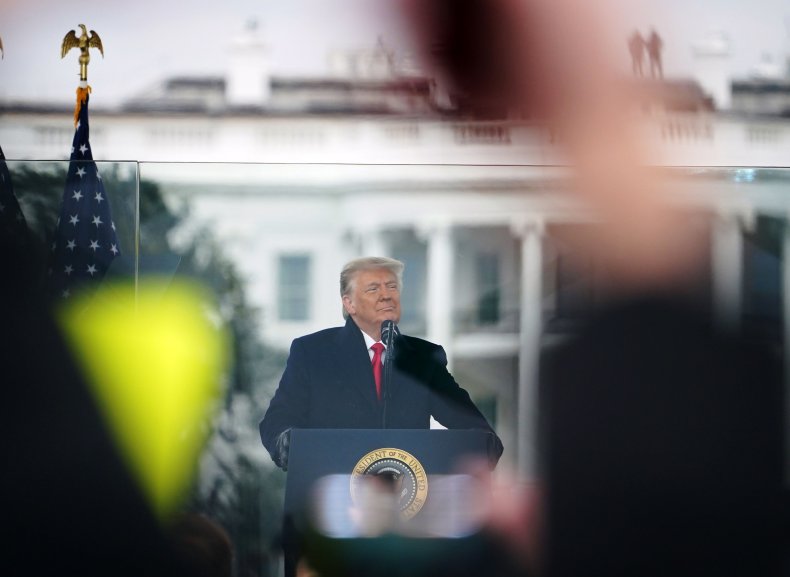 doinald trump at rally in washington, d.c.