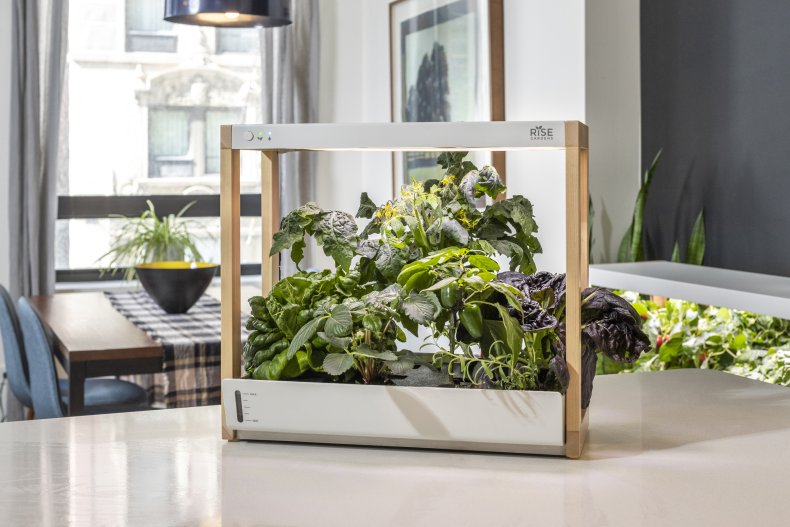 Best of CES 2021 Rise Personal Garden