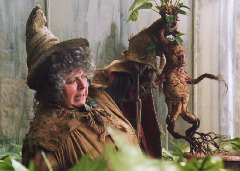 Harry Potter and the Chamber of Secrets (2002)