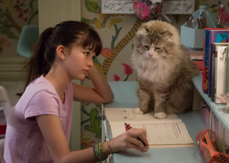 #92. Nine Lives (2016)