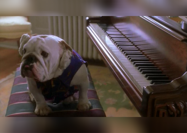 #61. Mr. Magoo (1997)