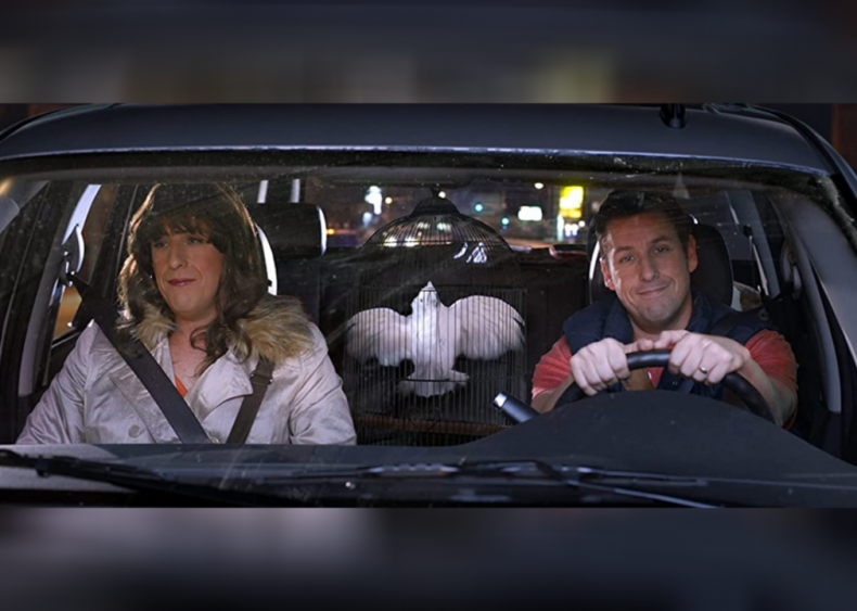 #56. Jack and Jill (2011)