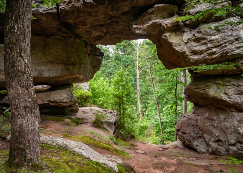#38. Arkansas