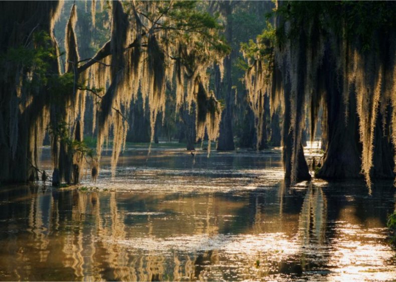 #23. Louisiana