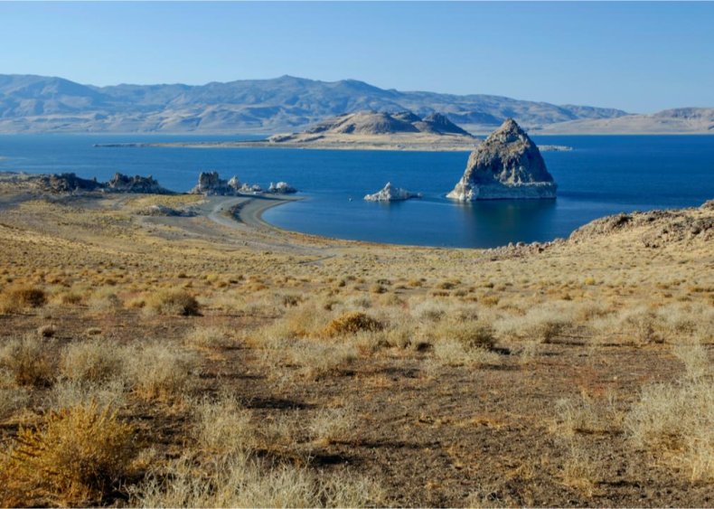 #18. Nevada