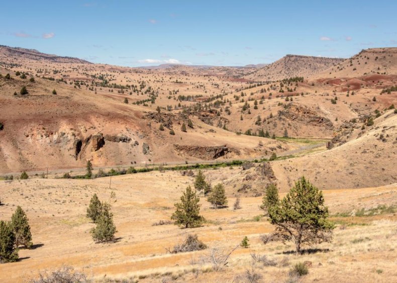 #17. Oregon