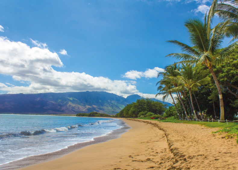 Clue: Hawaii