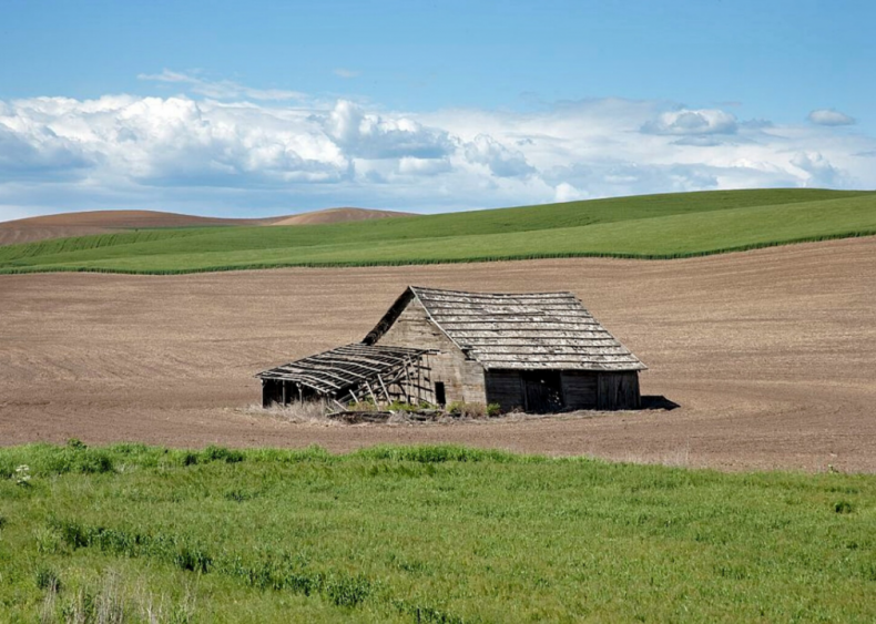 Clue: Idaho