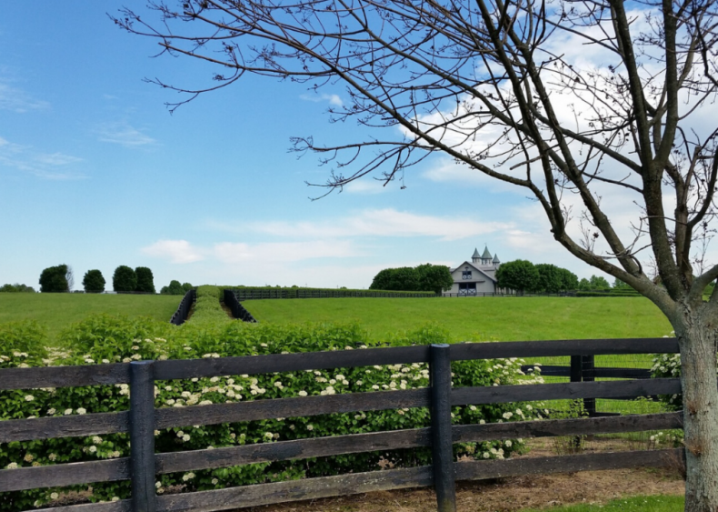 Clue: Kentucky