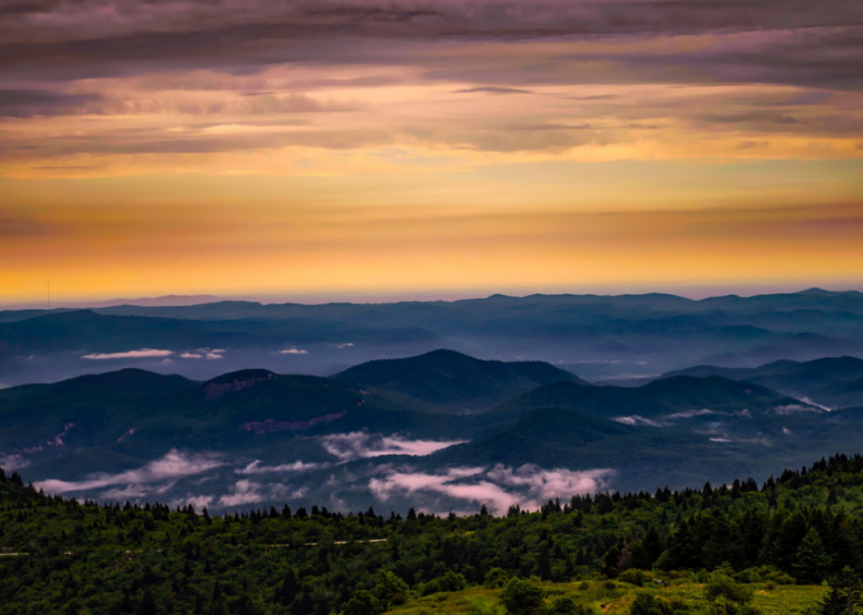 Clue: North Carolina