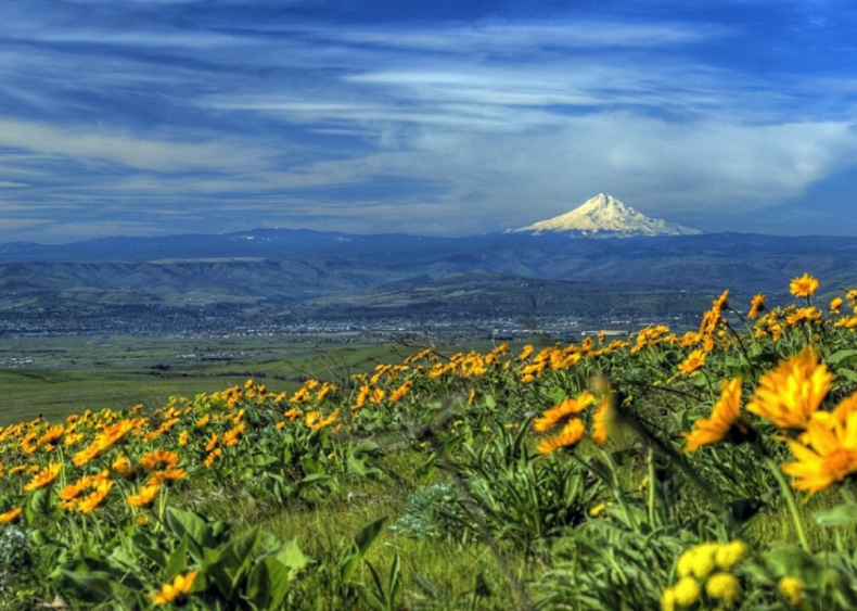 Clue: Oregon