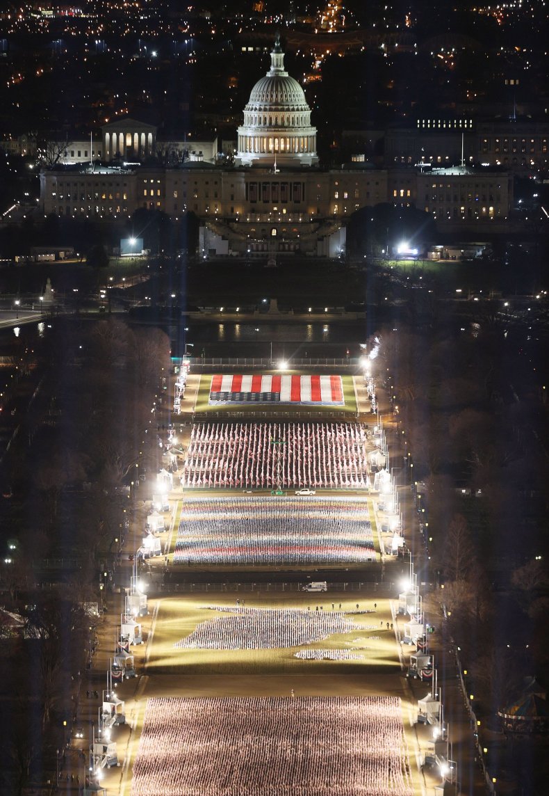 flags cover National Mall inauguration