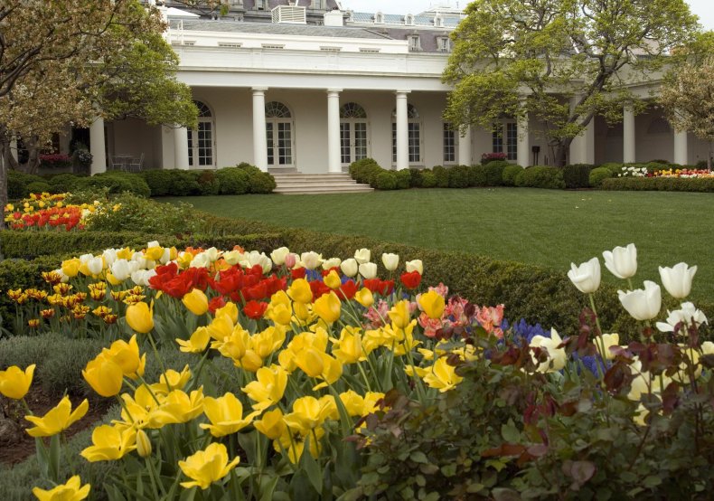 White House rose garden